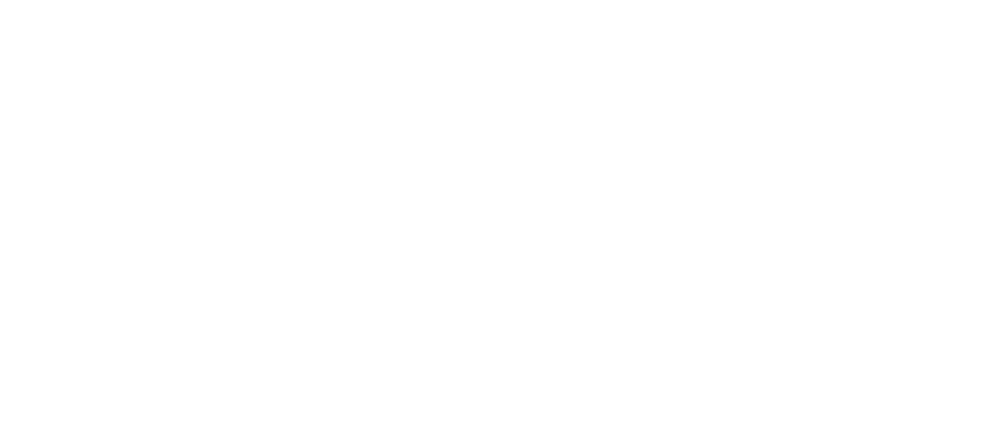 Sustainable Development Solutions Network logo